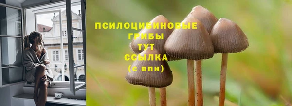 гашик Алзамай